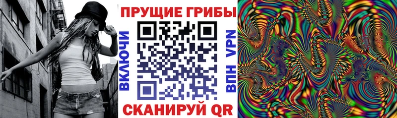 Псилоцибиновые грибы Magic Shrooms  наркошоп  Зеленокумск 